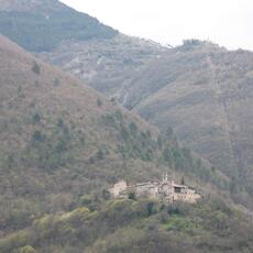 IMG_0516