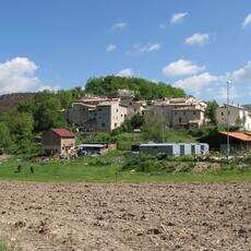 IMG_1654