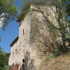IMG_7465