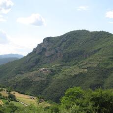 IMG_2752