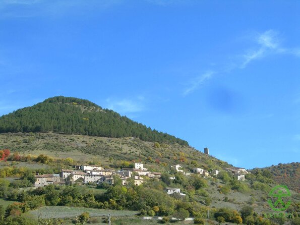 DSCN2125