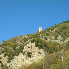 DSCN2170