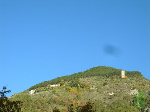 DSCN2176