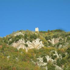 DSCN2177