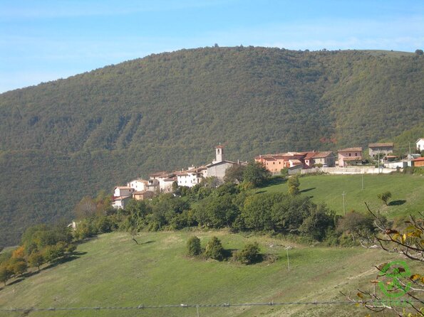 DSCN1918