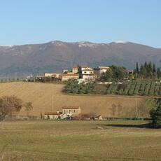 IMG_8075