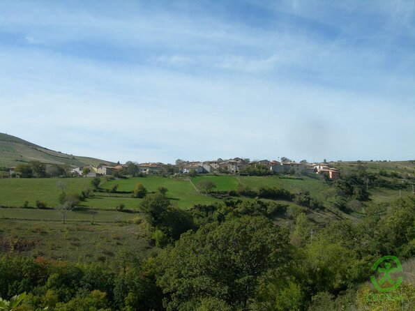 DSCN1952