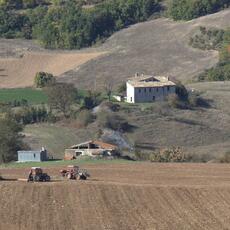 Fiano D'Abeto_0006