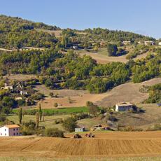 Fiano D'Abeto_0012