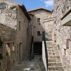 IMG_0460