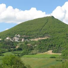 IMG_1515