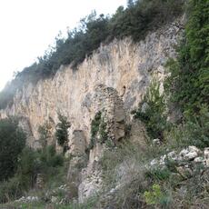 IMG_0464