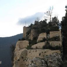 IMG_0475