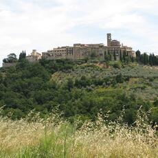 IMG_0905