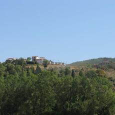 IMG_3308