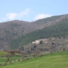 IMG_0450
