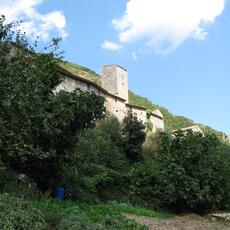 IMG_7480