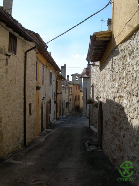 DSCN2229