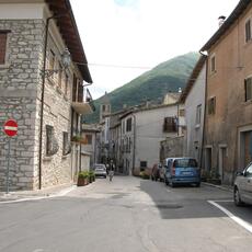 IMG_1350