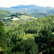 IMG_2972