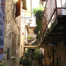 IMG_0585