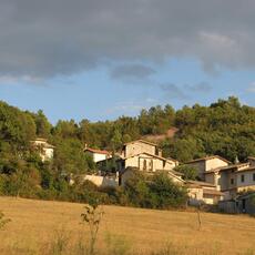 IMG_3303