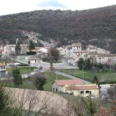 IMG_0439