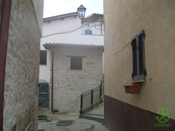 DSCN2588