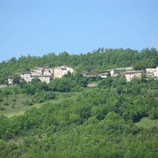 IMG_1662