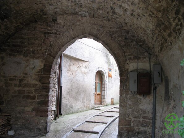 IMG_1405