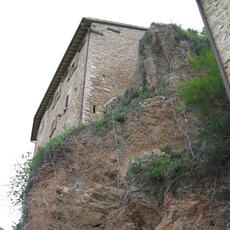 IMG_6337