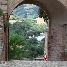 IMG_1547