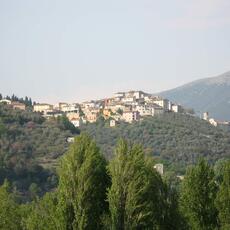 IMG_1145