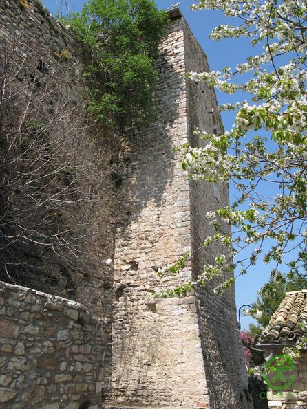 IMG_1000