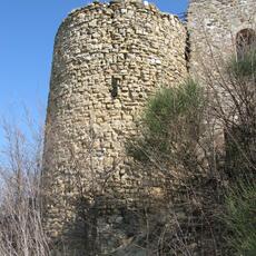 IMG_0571
