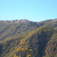 DSCN2452