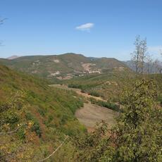 IMG_3818