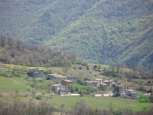 IMG_1081
