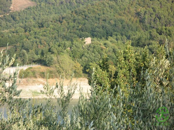 IMG_3398