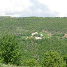 IMG_1510