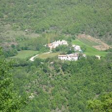 IMG_1511