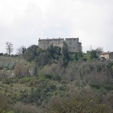 IMG_0715