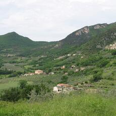 IMG_6589