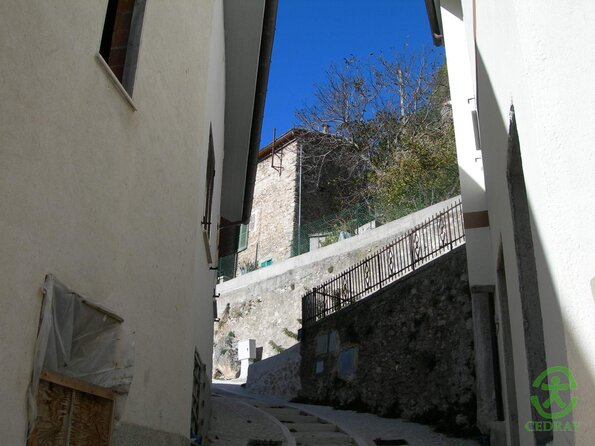 DSCN2313