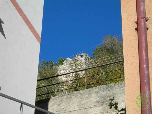 DSCN2315
