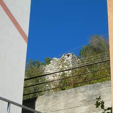 DSCN2315