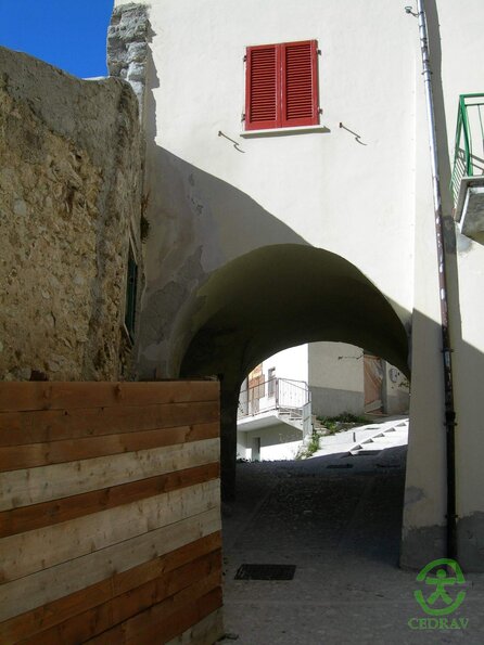 DSCN2318