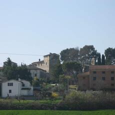 IMG_0569