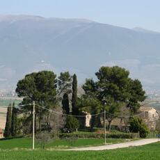 IMG_0601