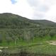 PIANCIANO ALTO DI SPOLETO